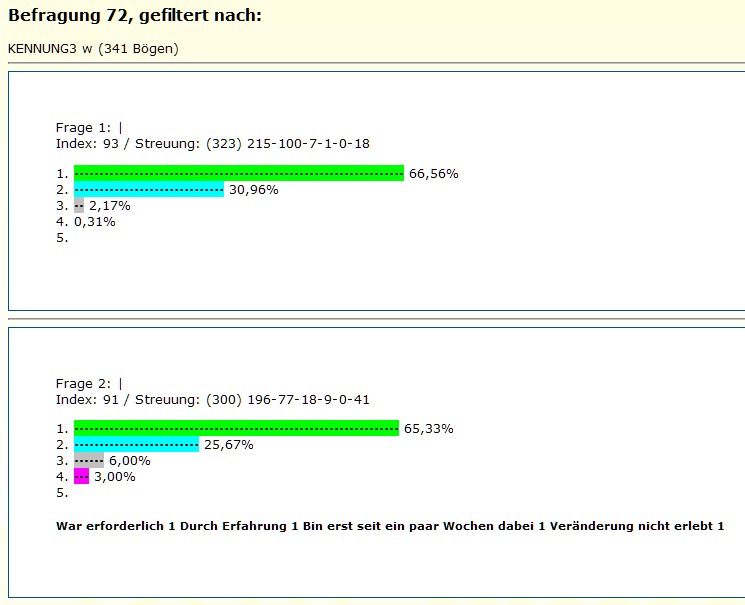 Schnelle Auswertung Beispiel für Ergebnisdarstellung einer schnellen Auswertung